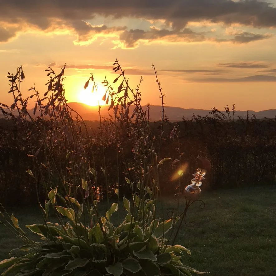 Sonnenuntergang im Maifeld